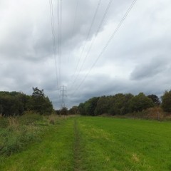 home videos of death