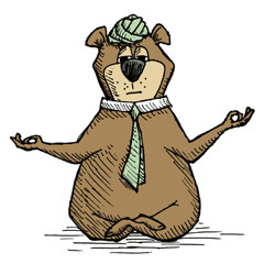 Yogi Bearo