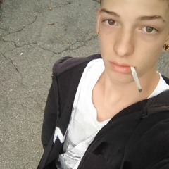 安 Tobias Pichler 安