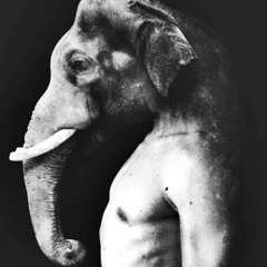 Le Powerty aka Le Pow