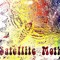 Satellite Moth