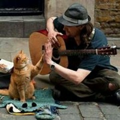 Rody Jimmy Zulqaernain