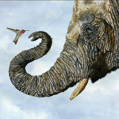Hummingbird Elephant