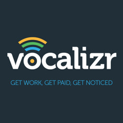 vocalizr.com