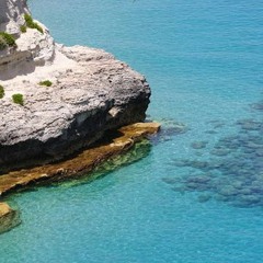 aliyahcampbellaliyah