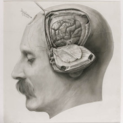 BrainHack