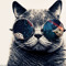 Discofix