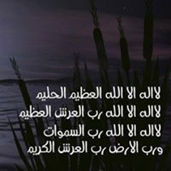 Somaya Mostafa