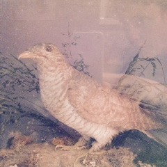 The Beauty Of Diagrams