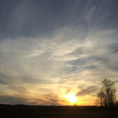 mccormicksamantha2010