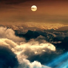 carrollmadisoncarroll