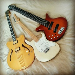 The Friendly Guitar Trio