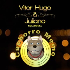 Vitor Hugo e Juliano