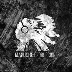 Mapuche producciones