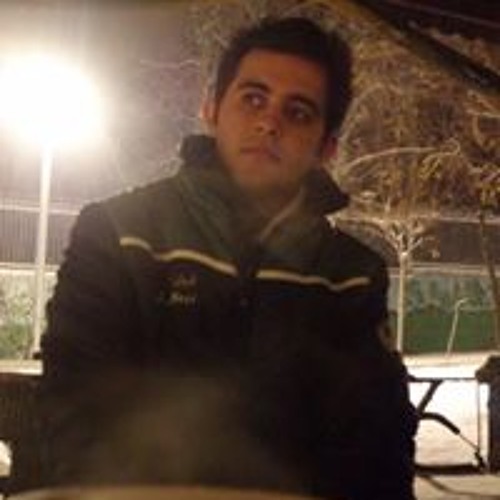 Nikyar Rastin’s avatar