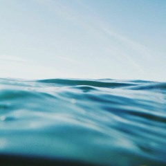 ‎REFLEXIONS