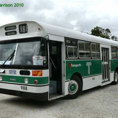 Beaverloop - 4th February 1996 - Big Day Out Festival - Perth Oval