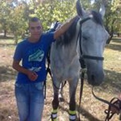 Robert Talpasanu Robewrt