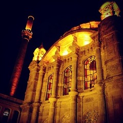 nielsvanommerenniels