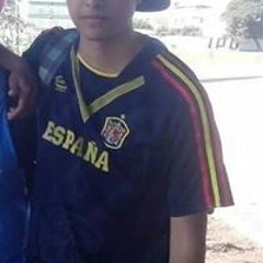 Cristian Navarro Flores