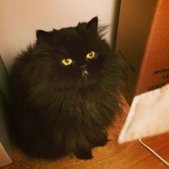 goossensnorahgoossens