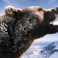 BEAST PRODUCTIONS RECORDS