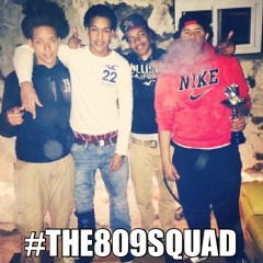 TEAM809