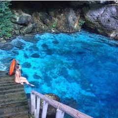 devriesrenskedevries