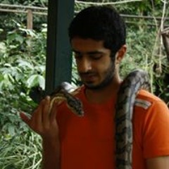 Ali Setaih