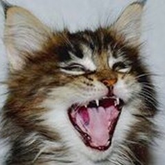 Christopher McDonnell