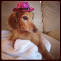 AllisonMichaelOrenstein