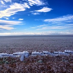 sheltontrinityshelton