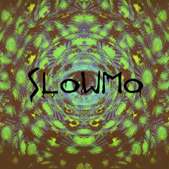 Slowmo'