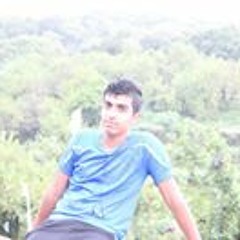 user542158460