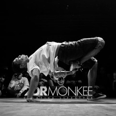 2DR Monkee