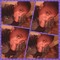 user652861781