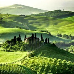 TONYMONT