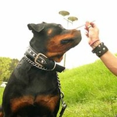 Julie Voreland Akselsen