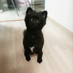 hello~~