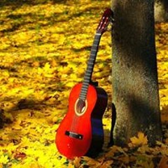 Rodolfo Maldonado Tovar