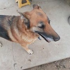 Maryann Goslin Doherty