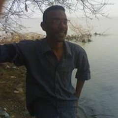 Mohammed Shamseldeen