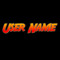 The User Name