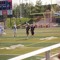 Andrew_Volk