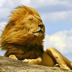 စိန္​ဝင္​းထြန္​း