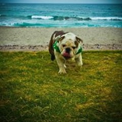 Carlos Emilio Avila Moya