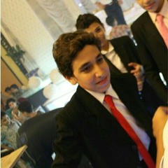 الشيخ نادر 3