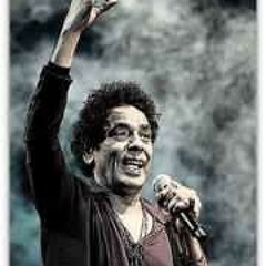 Youssef Magdy