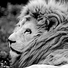 Stéphane Sébastien Valier