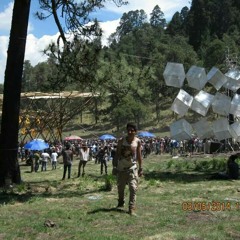 user240009422